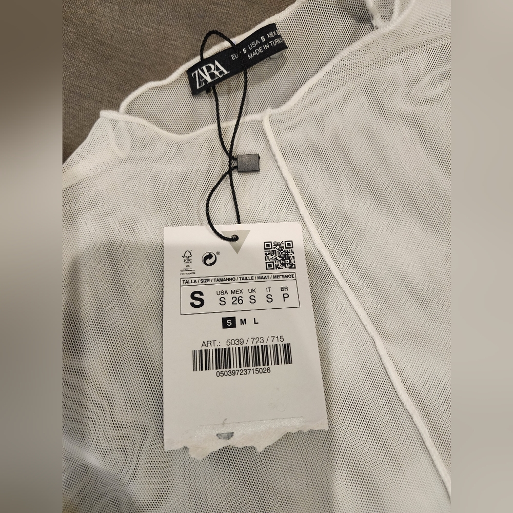 Zara Sheer Top